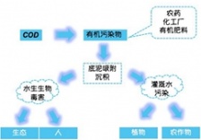 在線水質監測知識篇-化學需氧量COD