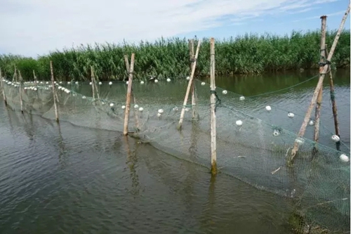 烏梁素海生態(tài)環(huán)境形勢仍不樂觀 綜合治理規(guī)劃不嚴不實